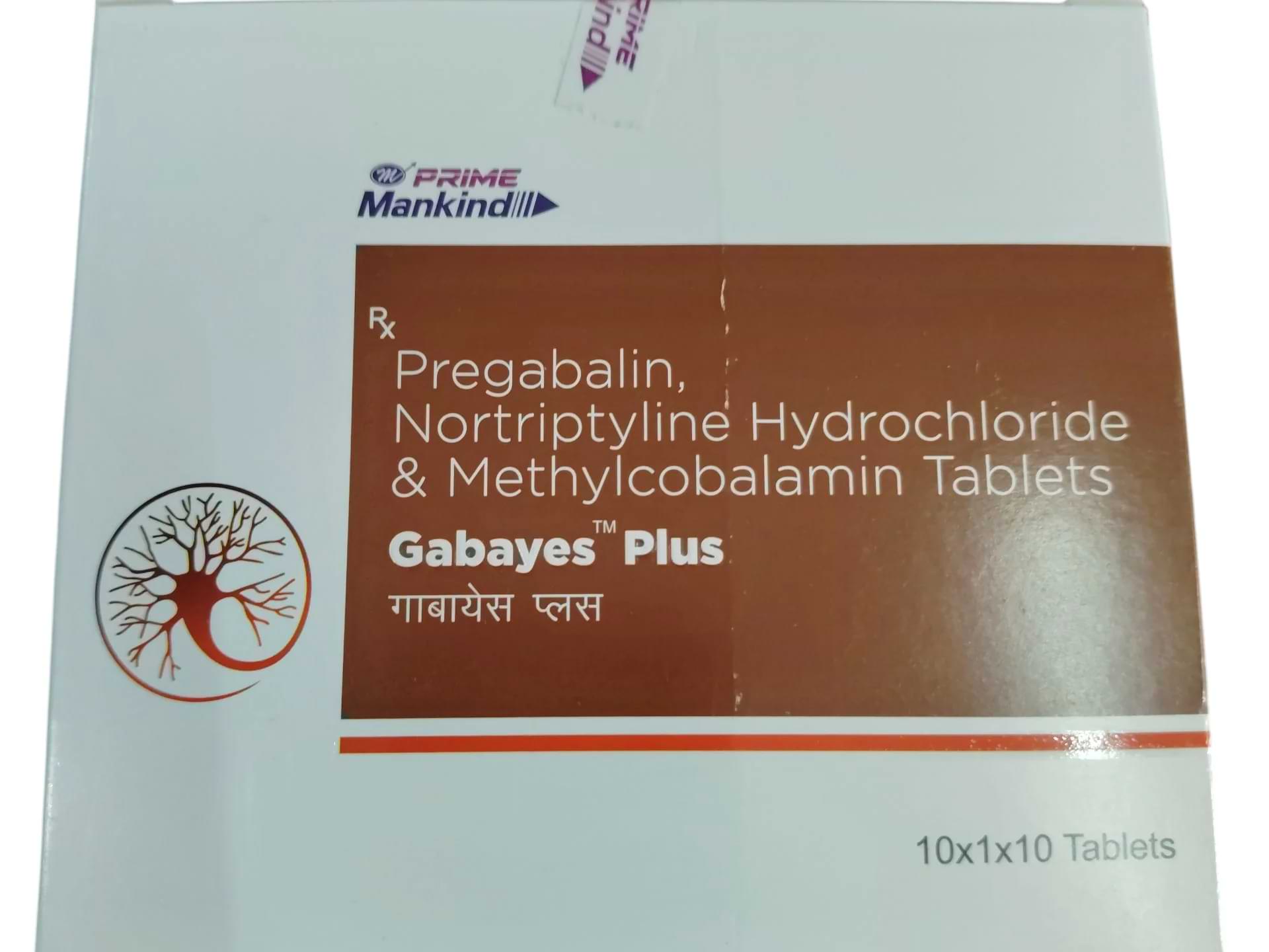 GABAYES PLUS